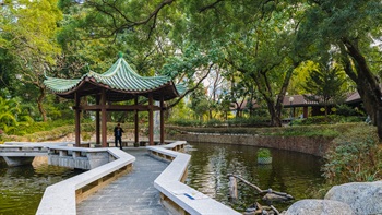 公園的中式花園位於尖沙咀的喧囂之中。週末雖然總是人山人海，但平日人煙罕至，很適合漫步遊覽。